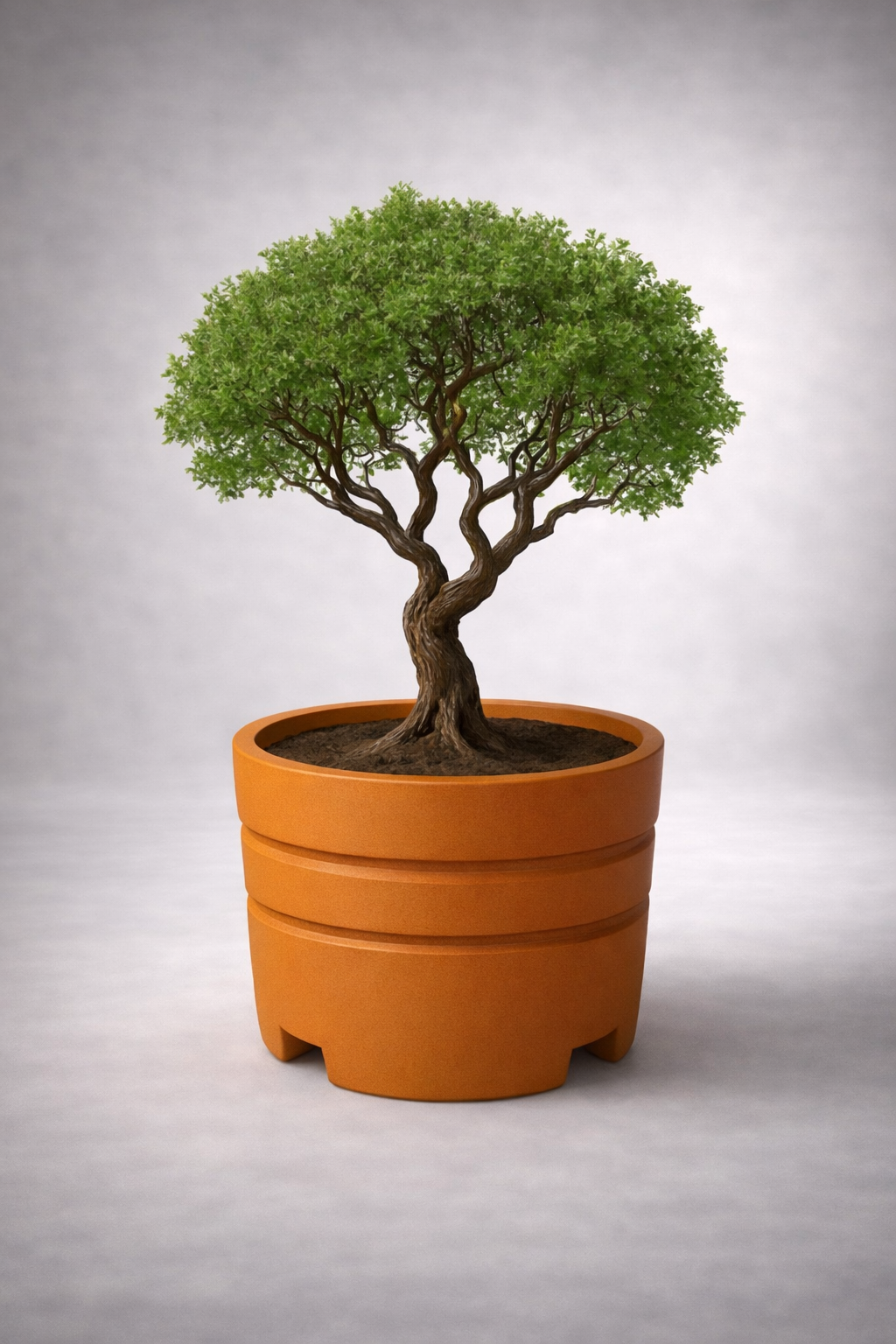 מיכל שתילה עגול H750