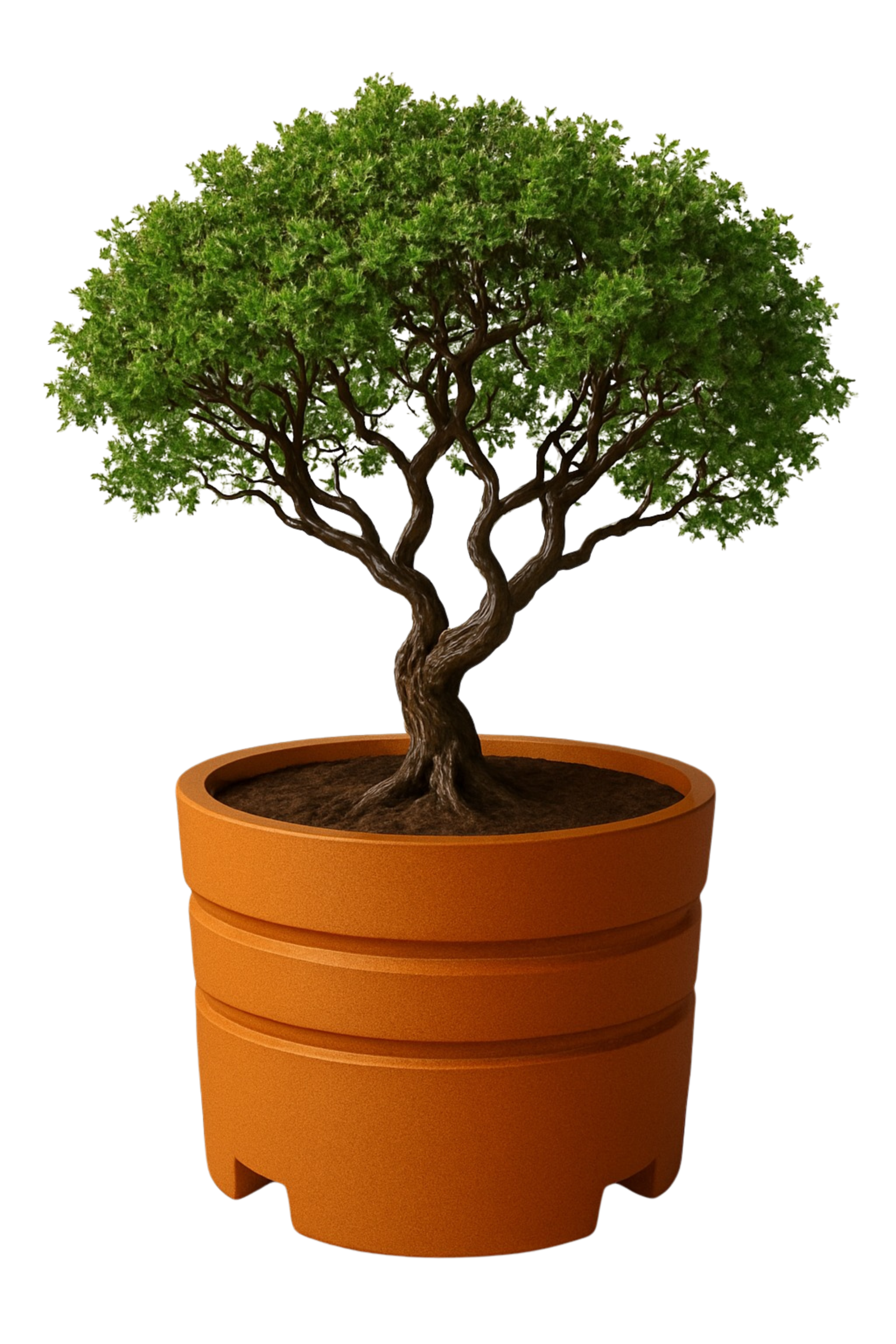 מיכל שתילה עגול H750